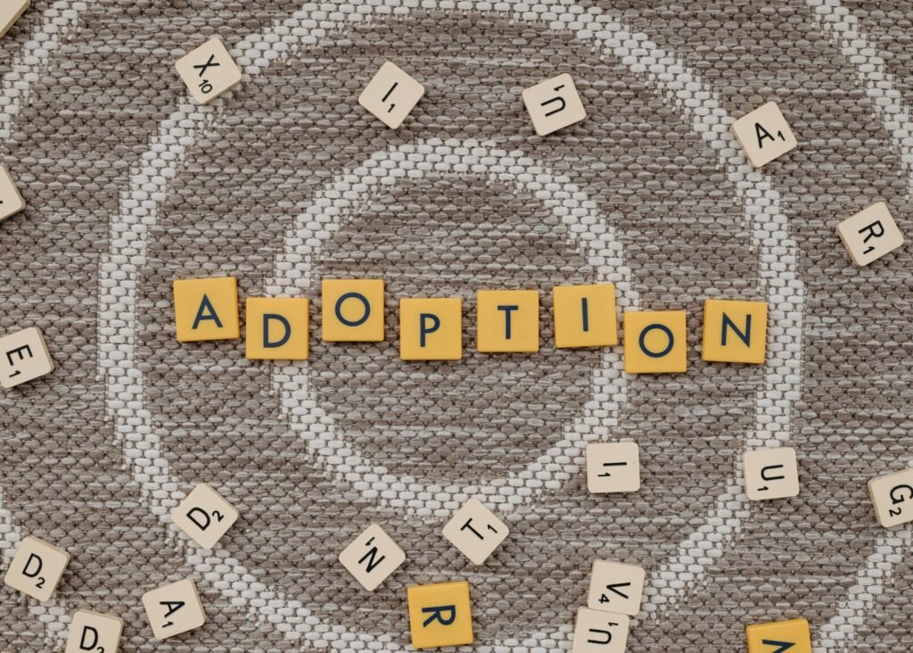 cuánto tarda el proceso de adopción